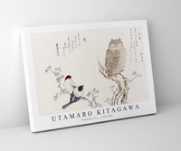 
              Utamaro Kitagawa - Mimizuku Uso 1753-1806
            