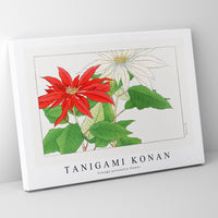 Tanigami Konan - Vintage poinsettia flower