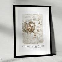 Leonardo Da Vinci - Studies of the Foetus in the Womb 1510-1513
