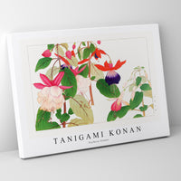 Tanigami Konan - Fuchsia flower