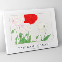 Tanigami Konan - Vintage poppy flower