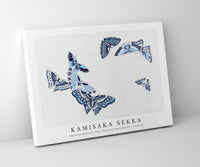 
              Kamisaka Sekka - Japanese butterfly (One Thousand Butterflies) - 1904 (5)
            