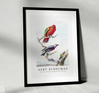 
              Aert schouman - Two birds, including a red-green parrot-1720-1792
            