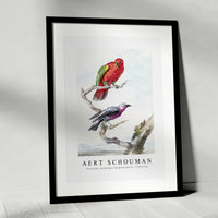 Aert schouman - Two birds, including a red-green parrot-1720-1792