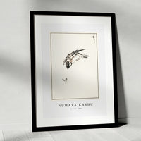 Numata Kashu - Sparrow illustration from Pictorial Monograph of Birds (1885)