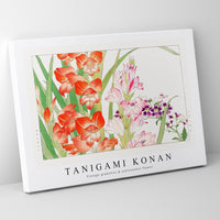 Tanigami Konan - Vintage gladiolus & schizanthus flower