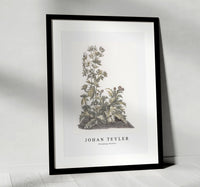 
              Johan Teyler - Blooming thistles
            