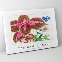 Tanigami Konan - Coleus & verbena flower