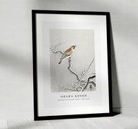 
              Ohara Koson - Bohemian bird on snowy branch (1900 - 1930) by Ohara Koson (1877-1945)
            