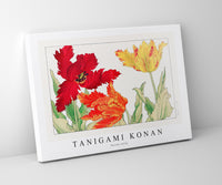 
              Tanigami Konan - Parrot tulip
            