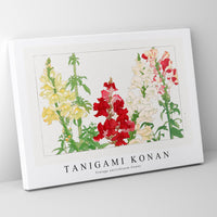 Tanigami Konan - Vintage antirrhinum flower