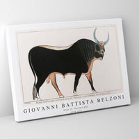 Giovanni Battista Belzoni - Plate 15  The Apis Bull 1778-1823
