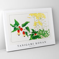 Tanigami Konan - Wood sorrel