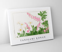
              Tanigami Konan - Vintage marguriete flower
            