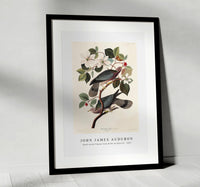 
              John James Audubon - Band-tailed Pigeon from Birds of America (1827)
            