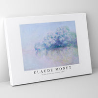 Claude Monet - Île aux Orties near Vernon 1897