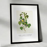 John James Audubon - Hemlock Warbler from Birds of America (1827)