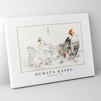 Numata Kashu - Domestic Fowl illustration from Pictorial Monograph of Birds (1885)