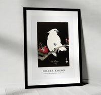 
              Ohara Koson - Cockatoo and pomegranate (1925 - 1936) by Ohara Koson (1877-1945)
            