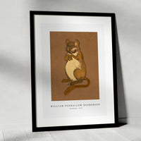 william penhallow henderson - Dormouse-1915