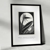 Samuel Jessurun De Mesquita - Strelitzia overblown (Uitgebloeide strelitzia) (1934)