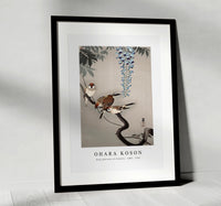 
              Ohara Koson - Ring sparrows at wisteria (1900 - 1936) by Ohara Koson (1877-1945)
            