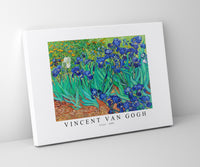
              Vincent Van - Gogh-Irises 1889
            