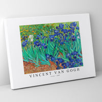 Vincent Van - Gogh-Irises 1889