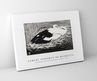 
              Samuel Jessurun De Mesquita - White Maguar Stork (Ooievaar, Magoear–ooievaar) (1914)
            