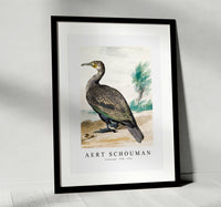 
              aert schouman - Cormorant -1720-1792
            