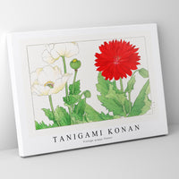 Tanigami Konan - Vintage poppy flower