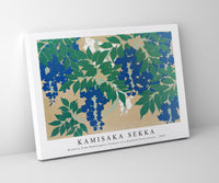 
              Kamisaka Sekka - Wisteria from Momoyogusa–Flowers of a Hundred Generations (1909)
            