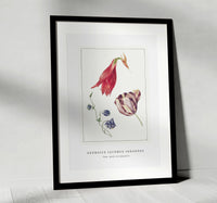 
              Georgius Jacobus Johannes - Tulp, akelei en amaryllis
            
