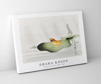 
              Ohara Koson - Frog on lotus leaf (1900 - 1930) by Ohara Koson (1877-1945)
            