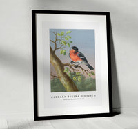 
              Barbara Regina Dietzsch - Goudvink (Eurasian Bullfinch)
            