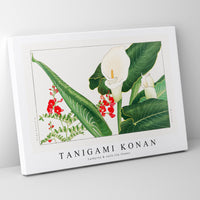 Tanigami Konan - Lathyrus & calla lily flower