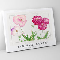 Tanigami Konan - Vintage poppy flower