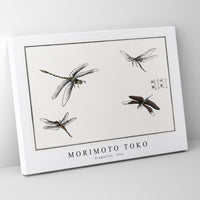 Morimoto Toko - Dragonflies 1911