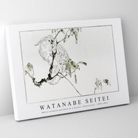 Watanabe Seitei - White cockatoo perched on a branch. Illustration 1890-1891