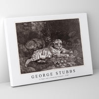 George Stubbs - A Tiger and a Sleeping Leopard 1788