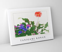 
              Tanigami Konan - Wildflower
            