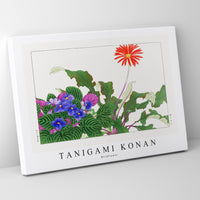 Tanigami Konan - Wildflower