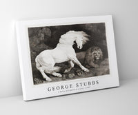 
              George Stubbs - A Horse Affrighted at a Lion 1788
            