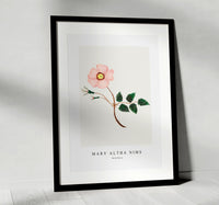 
              Mary Altha Nims - Wild Rose
            