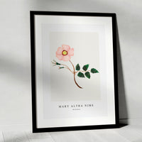 Mary Altha Nims - Wild Rose