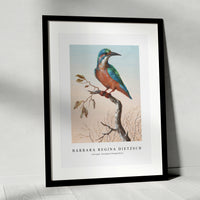 Barbara Regina Dietzsch - IJsvogel (Common Kingfisher)