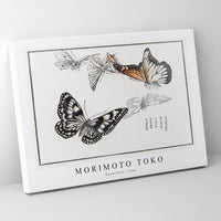 Morimoto Toko - Butterflies illustration from Churui Gafu (1910)