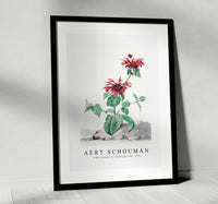 
              aert schouman - A Red Bergamot in a Landscape-1705-1775
            