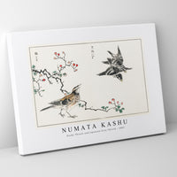 Numata Kashu - Dosky Thrush and Japanese Grey Thrush illustration from Pictorial Monograph of Birds (1885)