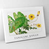 Tanigami Konan - Caladium & coreopsis